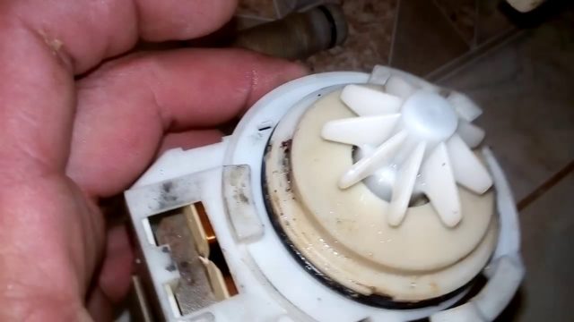 Что делать, если появилась ошибка I20 в посудомоечной машине Electrolux