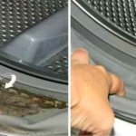Cleaning the washer with peroxide