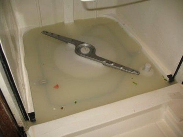 Результат засора слива посудомоечной машины в виде застоя воды в поддоне бункера