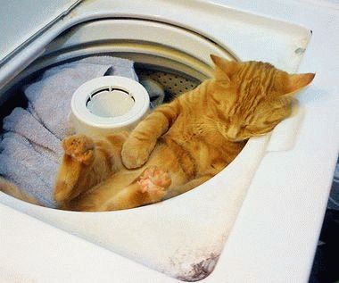 Quiet washing will not disturb