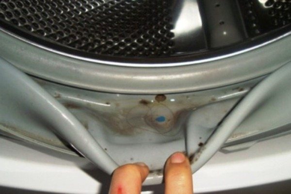 washing machine drum care