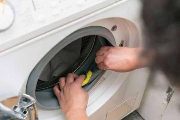 Bosch washing machine care